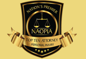 NAOPIA Top Ten Attorney Logo