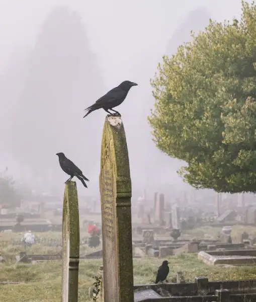 Understanding wrongful death attorney death claims in Houston