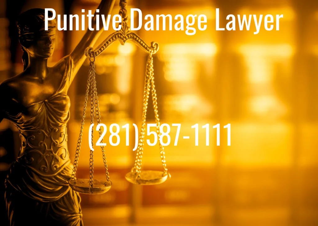 Punitive Damages Lawyer