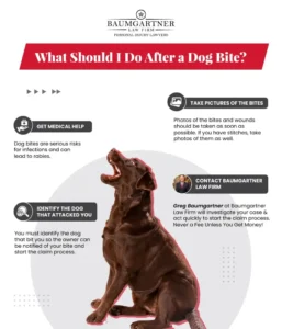 What to Do Immediately After a Dog Bite in Houston